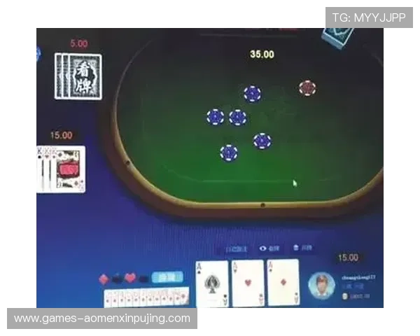 新葡京棋牌多样化游戏模式推荐，满足不同玩家的休闲娱乐需求